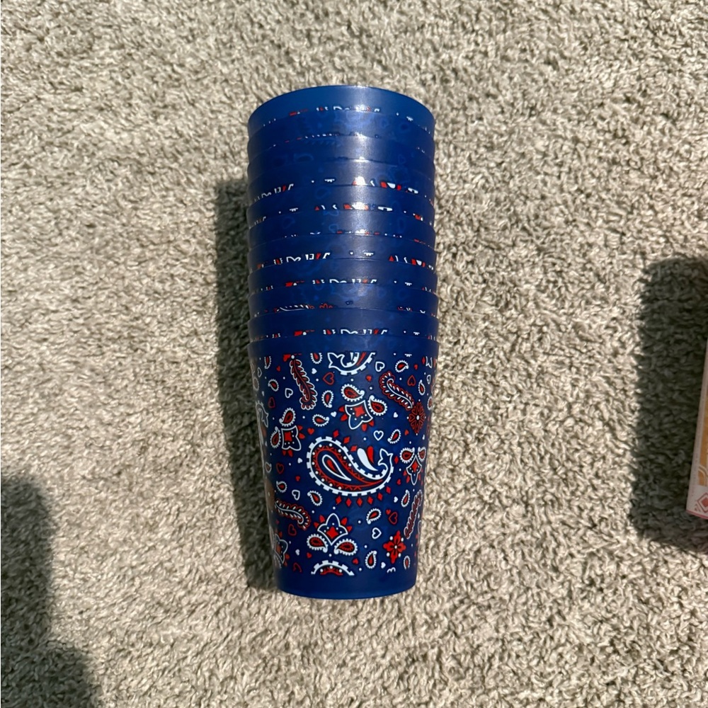 Blue Paisley Tumbler Set